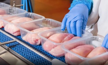Tyson Foods Boycott