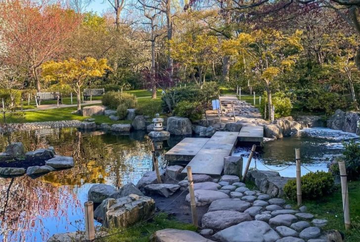 Amazing things to do in little Tokyo.